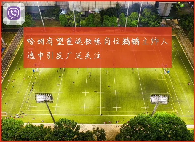 哈姆有望重返教练岗位鹈鹕主帅人选中引发广泛关注