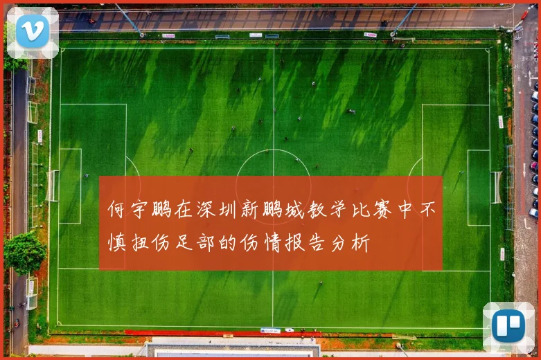何宇鹏在深圳新鹏城教学比赛中不慎扭伤足部的伤情报告分析
